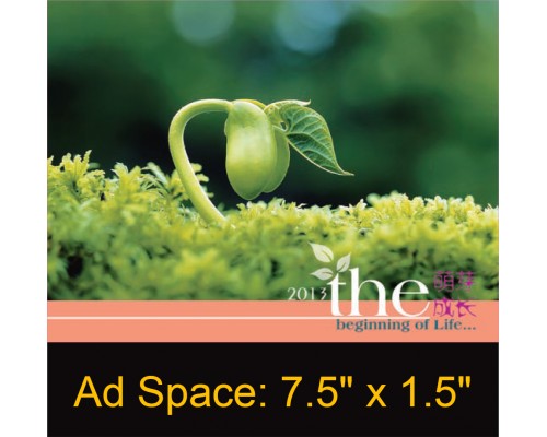 Desk Calendar DC 4